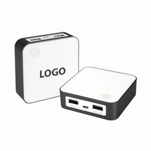 Power Bank Delux