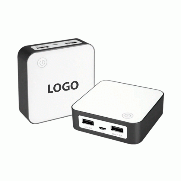 Power Bank Delux