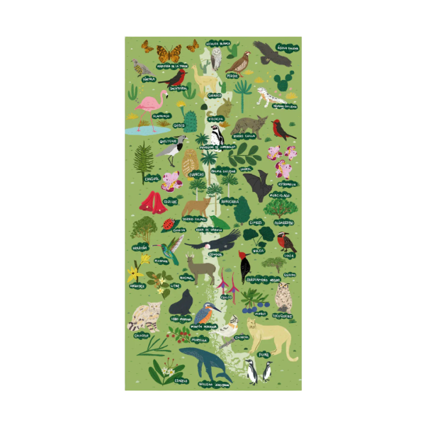 Puzzle de Chile - Imagen 3