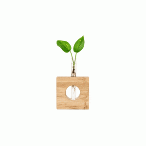 Florero Origen Noble